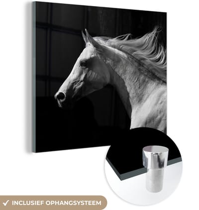 MuchoWow® Glasschilderij 50x50 cm - Schilderij acrylglas - Paarden - Boerderijdier - Manen - Foto op glas - Schilderijen