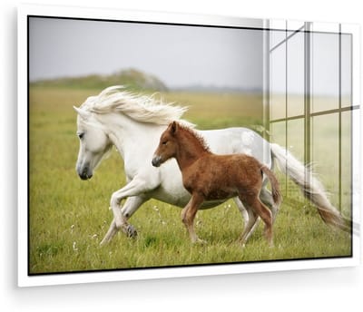 ® Glasschilderij 180x120 cm - Schilderij acrylglas - Een veulen draaft met haar moeder - Foto op glas - Muurdecoratie woonkamer - Wanddecoratie slaapkamer - Schilderijen