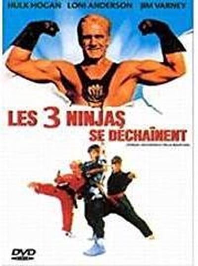 3 Ninja'S High Noon At..