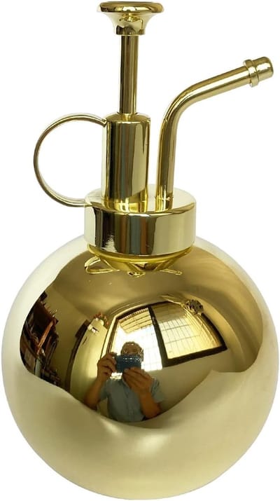 Kleine RVS Plantenvernevelaar, Handige Waterkan voor Binnenplanten, Moderne Tuingereedschappen voor Vernevelen en Besproeien van Potplanten (Gouden Kleur, 0.5L)