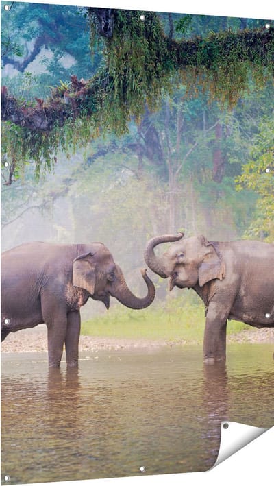 Gards Tuinposter Twee Olifanten in het Water - 100x150 cm - Tuindoek - Tuindecoratie - Wanddecoratie buiten - Tuinschilderij