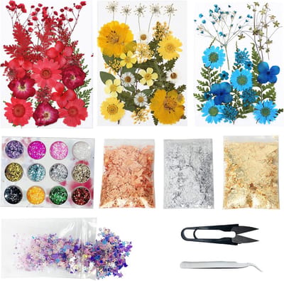 SnelShoppen - 66pcs Natuurlijke Geperste Bloemen, Drogen Bloemen en Bladeren, Knutselen, Hars, Sieraden, Nagelkunst, Glitter, Goudblad, Sequenties