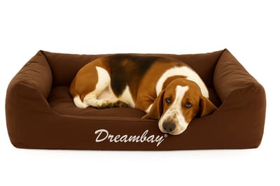 Flamingo Dreambay® - Mand Honden - Bed Dreambay Bruin 100x80x25 Cm - 1st - 124041 - 1st