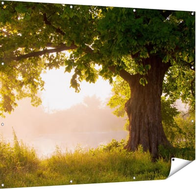 Gards Tuinposter Eikenboom aan het Water met Volle Bladeren - 150x120 cm - Tuindoek - Tuindecoratie - Wanddecoratie buiten - Tuinschilderij