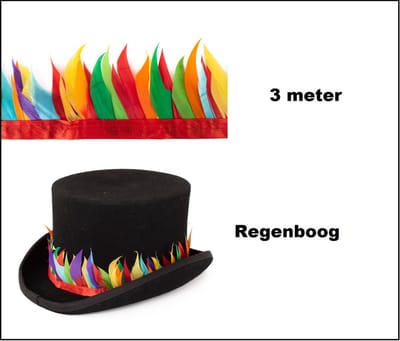 Verenband regenboog 3 meter - Festival hoed thema feest carnaval