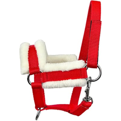 Halster voor paarden York Madlen
