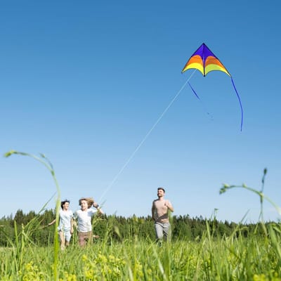 Grote Delta Vlieger Set van 3 - Ideaal voor Kinderen en Volwassenen van 4-12 Jaar