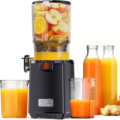 Slowjuicer - Sapcentrifuge - Gezond Sap Maken - Enkele Schroef - Compact Formaat - Zilver