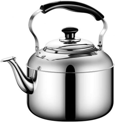 Roestvrijstalen Waterkoker - Theepot met Fluitje - Water Koken - Gelijkmatige Warmtegeleiding - 6L - Zilverkleurig