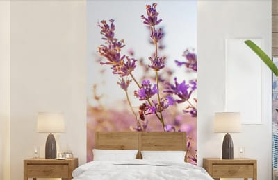 Behang - Fotobehang Lavendel - Close-up - Zon - Bloemen - Paars - Breedte 120 cm x hoogte 240 cm