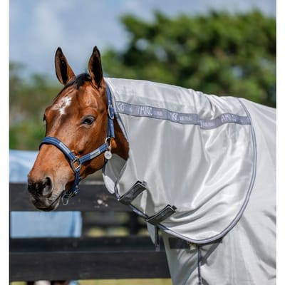 Paardendeken Horseware Amigo Bug