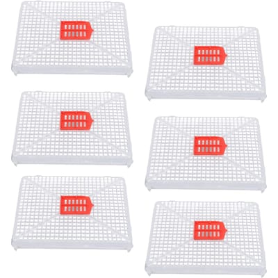 6 stuks Plastic Vierkante Gesp Koninginbijen Kooi Bijenkorf Kooi voor Kunstmatige Zwerm Introductie van white