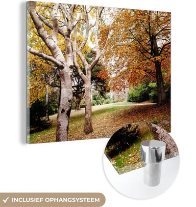 MuchoWow® Glasschilderij 40x30 cm - Schilderij acrylglas - Herfst - Bomen - Bladeren - natuur - Foto op glas - Schilderijen