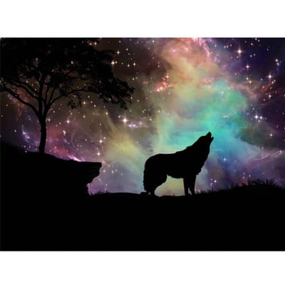 Diamond Painting Dieren Sterrennacht Wolf Afbeelding Kralen Diamant Borduurwerk Dieren Schilderij Strass 20X30CM brown