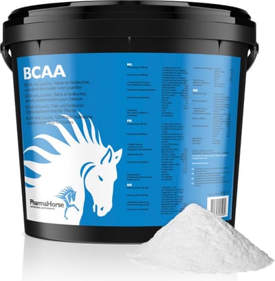 BCAA paard 3000 gram