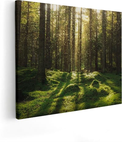 Artaza Canvas Schilderij Landschap - 50x40 cm - Wanddecoratie Bos - Muurdecoratie Bomen - Kamer Accessoires Natuur
