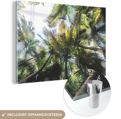 ® Glasschilderij 180x120 cm - Schilderij acrylglas - Palmbomen in het Glover’s Reef van Belize - Foto op glas - Muurdecoratie woonkamer - Wanddecoratie slaapkamer - Schilderijen