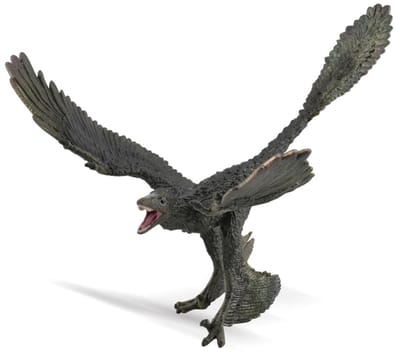 COLLECTA Figurine - Microraptor - 1:40 - Prehistorie - Handgeschilderd - Dinosaurus - Miniatuur