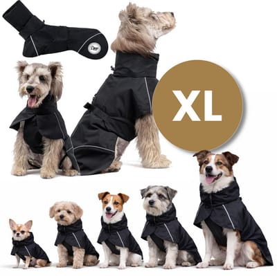 Dogs&Co® Paws Protect Hondenregenjas - Maat XL - Regenjas voor Honden – Waterdicht & Winddicht – Reflecterend – Zwart