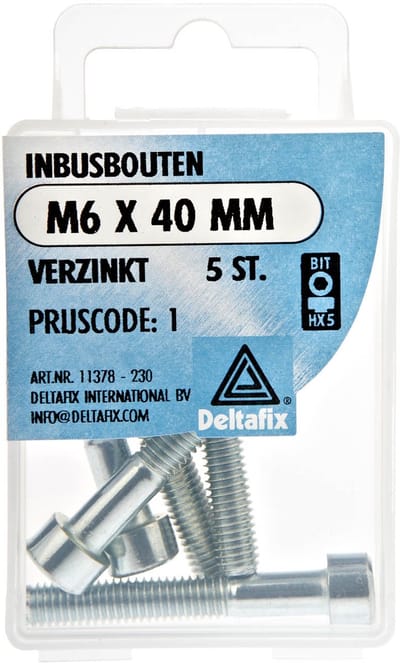 Inbusbouten M6 x 40 mm - verzinkt - gegalvaniseerd - 5 stuks