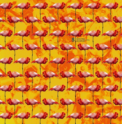 Elephant Château - Dreamings & Offshore Drilling – Pearls And Turtles (LP)