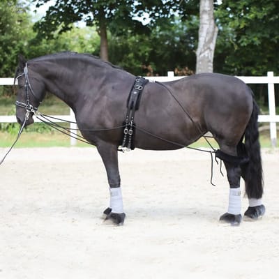 Paard sleutelkoord accessoire York
