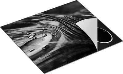Chefcare Inductie Beschermer Kleurrijke Pauw Veer met Waterdruppels - Zwart Wit - 60x50 cm - Afdekplaat Inductie - Kookplaat Beschermer - Inductie Mat