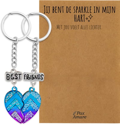 BFF Sleutelhanger voor 2 'Sommige harten passen perfect' - Magnetisch Best Friends Hartje - Sleutelhanger set op Cadeau Kaartje - Zilverkleurig - Vriendschap Symbool - Pax Amare