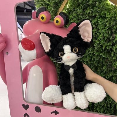 Jouets Peluches Chat Noir Mignons Oreiller Kaki Bouclé Kuki Chat Noir Devon Rex Poupée Animaux en Peluche Cadeaux Festifs Pour Enfants Anniversaire Filles