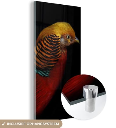 MuchoWow® Glasschilderij 20x40 cm - Schilderij acrylglas - Vogel - Veren - Zwart - Portret - Foto op glas - Schilderijen