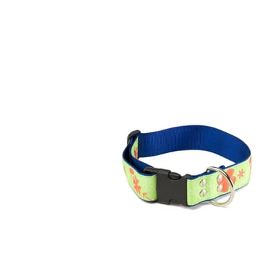Hondenhalsband Martin Sellier L