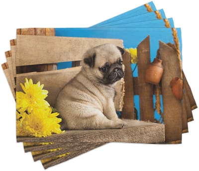 ABAKUHAUS Mops-placematten: Lieflijke puppyfotografie met een bedroefde hond en wilde bloemen op een parkbank; tafeldecoratie van kleurvaste stoffen voor eetkamer en keuken; lichtbruin, geel, blauw