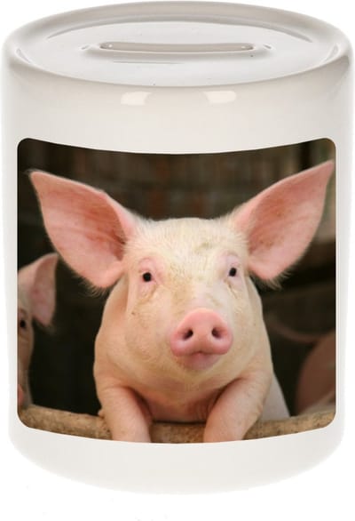 Dieren varken foto spaarpot 9 cm jongens en meisjes - Cadeau spaarpotten varkens liefhebber