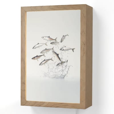 Wandlamp 20x30 cm - Oplaadbaar - Vissen - Water - Wit - Wandlampen binnen woonkamer - Slaapkamer lamp met kabel - Decoratieve nachtlamp - Vloerlamp snoer