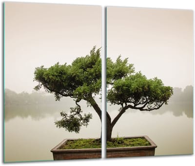 TMK ArtDeko Serie - Glazen Snijplank - 30x52cm - Inductiekookplaat Bescherming - Kleur Rijk