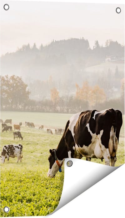 Gards Tuinposter Zwart Witte Koeien in de Wei - 40x60 cm - Tuindoek - Tuindecoratie - Wanddecoratie buiten - Tuinschilderij