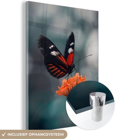 MuchoWow® Glasschilderij 30x40 cm - Schilderij acrylglas - Vlinder - Bloemen - Insect - Foto op glas - Schilderijen