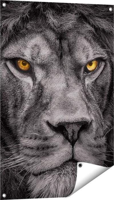 Gards Tuinposter Leeuw - Leeuwenkop - Zwart Wit - 60x90 cm - Tuindoek - Tuindecoratie - Wanddecoratie buiten - Tuinschilderij