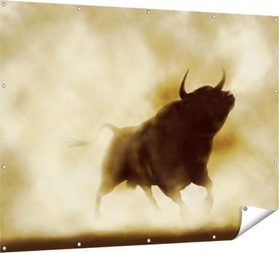 Gards Tuinposter Zwarte Stier in het Stoffige Rook - 160x120 cm - Tuindoek - Tuindecoratie - Wanddecoratie buiten - Tuinschilderij