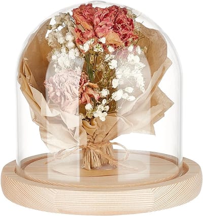 Dailygoods- Houten Koepel 12 x 12 cm - Koepel van Gebleekt Amandelglas - Bel van Transparant Glas - Bloemenhandwerk - Kerstdecoratie - Decoratiekoepel