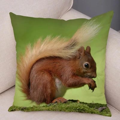 Housse de coussin imprimée recto-verso motif écureuil mignon Peluche courte Convient pour salons chambres canapés coussin d'appoint 50x50cm