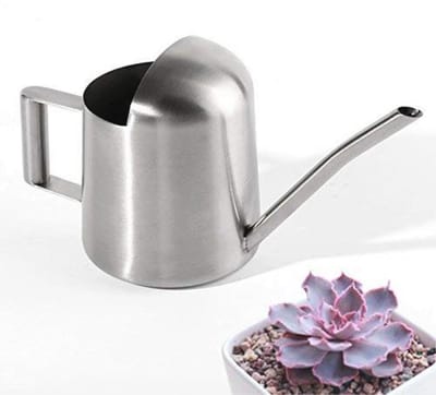 Moderne Mini Gieter van Roestvrij Staal voor Planten en Tuinieren