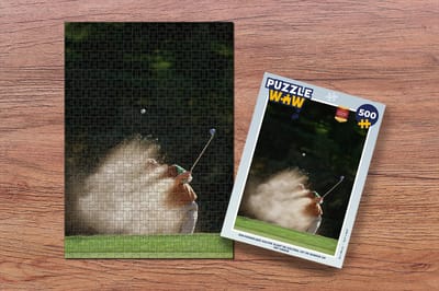 Puzzel Een mannelijke golfer slaat de golfbal uit de bunker op het green - Legpuzzel - Puzzel 500 stukjes