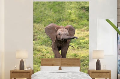 Behang - Fotobehang Afrikaanse baby olifant in het gras - Breedte 145 cm x hoogte 220 cm
