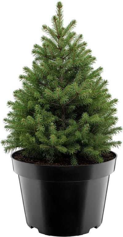 Garronda Ronde kunststof bloempot met drainagegaten voor tuin (Zwart, Ø38 x 25 cm (20L)) GD-KW-RL