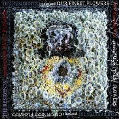 Our Finest Flowers - Residents