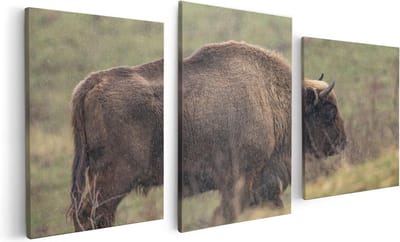 Artaza Canvas Schilderij Drieluik Bizon in het Gras - 120x60 - Foto Op Canvas - Canvas Print
