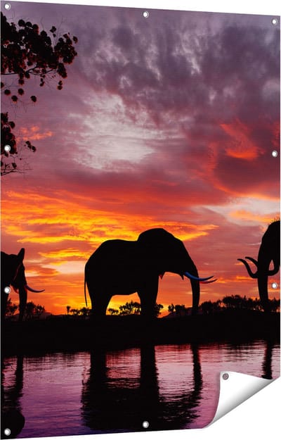 Gards Tuinposter Olifanten tijdens Zonsondergang - Silhouet - 90x120 cm - Tuindoek - Tuindecoratie - Wanddecoratie buiten - Tuinschilderij