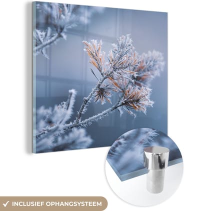 MuchoWow® Glasschilderij 90x90 cm - Schilderij acrylglas - Dennennaalden - Planten - IJs - Sneeuw - Winter - Foto op glas - Schilderijen