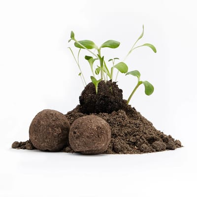 Wilde bloemen - Zaadbommetjes - onverpakt- 50 stuks - creatief cadeau idee